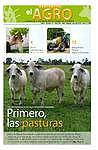 Periódico El Agro - Edición 13