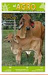 Periódico El Agro - Edición 16