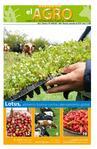 Periódico El Agro - Edición 19