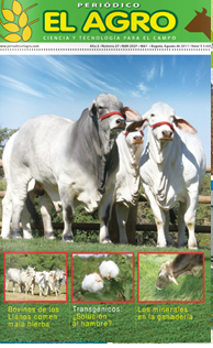 Periódico El Agro - Edición 27