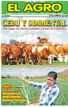 Periódico El Agro - Edición 37