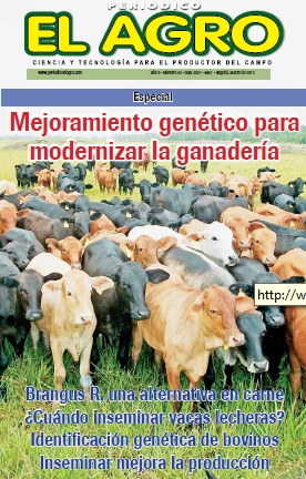 Periódico El Agro - Edición 43