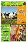 Periódico El Agro - Edición 7